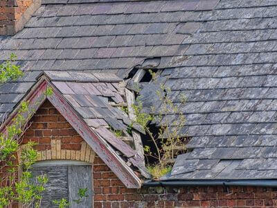 Professional ceiling water damage repair services in San Francisco - water damage cleanup