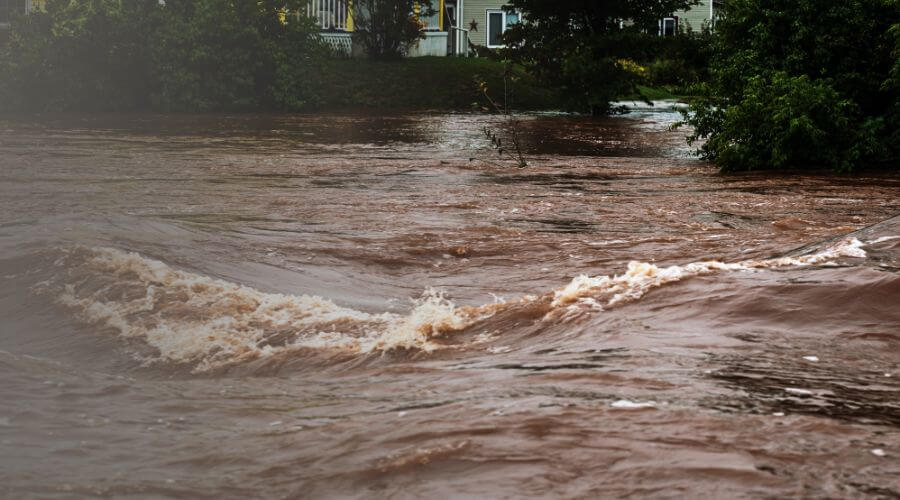 Why choose water damage cleanup for ceiling water damage repair in San Francisco